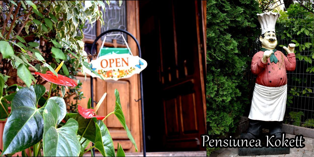 Pension Kokett Campulung Luaran gambar